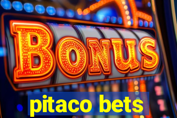 pitaco bets